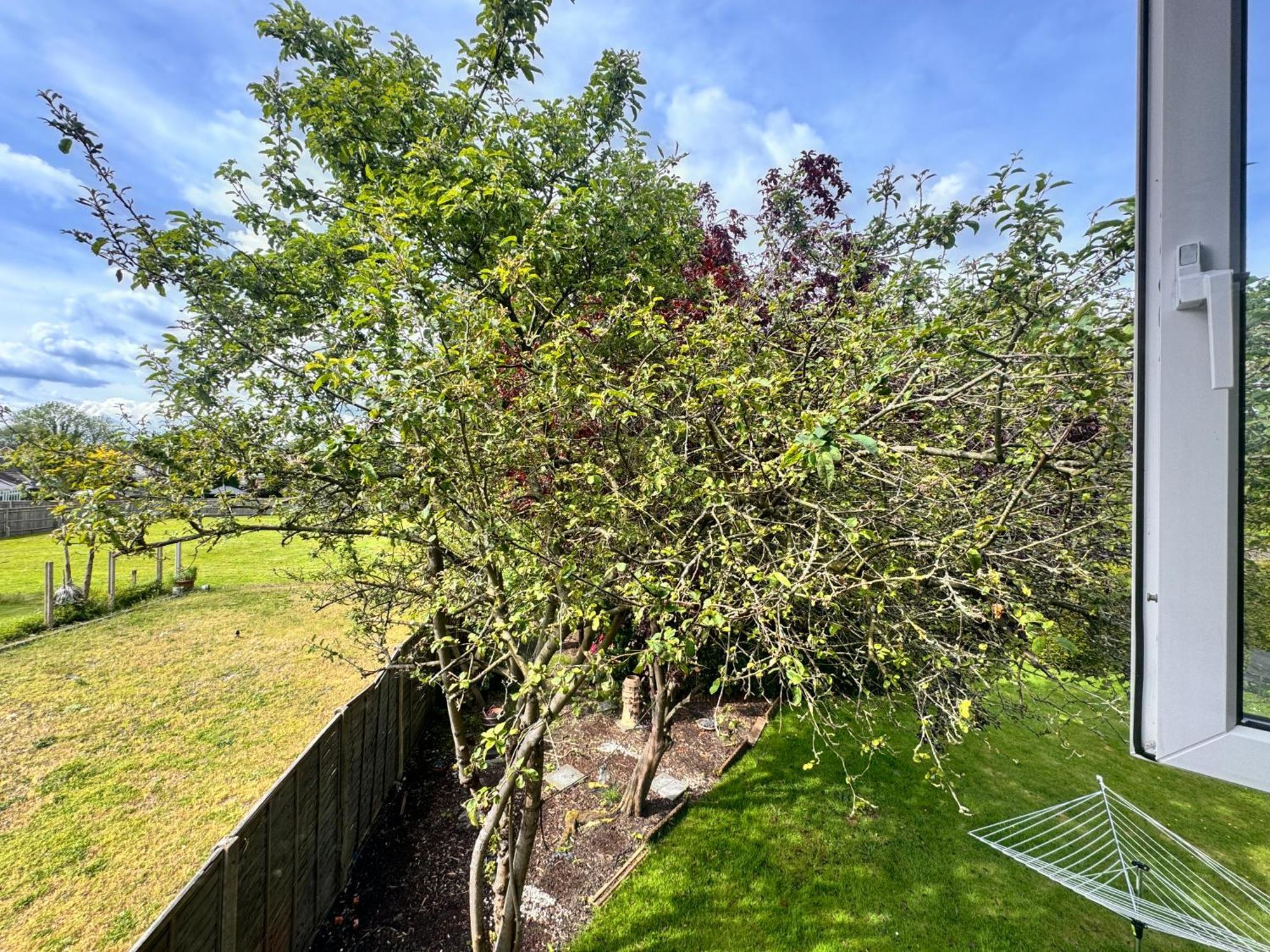High Trees Guest House Gatwick Горлі Екстер'єр фото